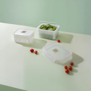 ظرف فریزری سبددار ایزی‌لاک مستطیل کوچک - کد 602